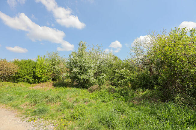 Działki w Tarnowie na osiedlu Koszyckim