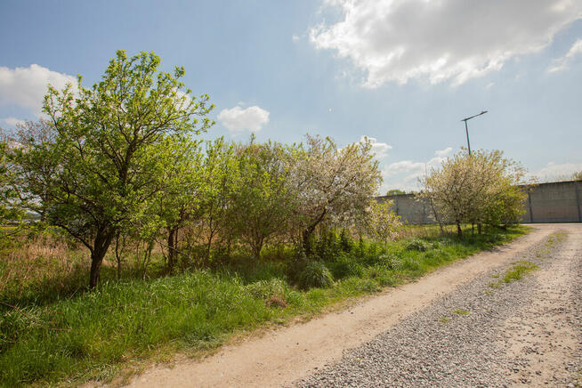 Działki w Tarnowie na osiedlu Koszyckim