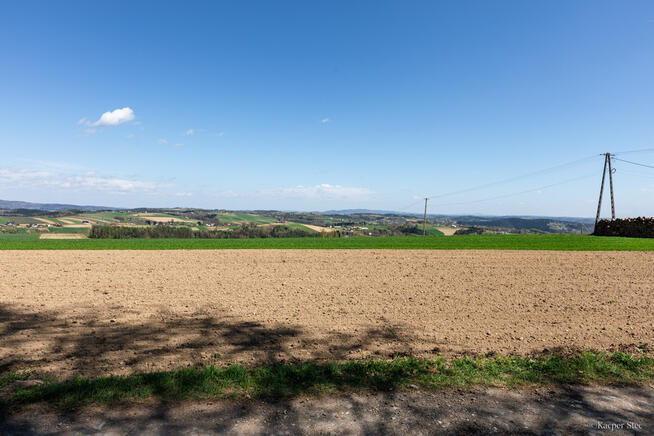 Na sprzedaż pastwisko zalesione w Jastrzębi