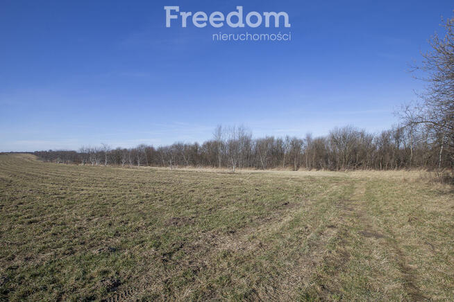 Atrakcyjna działka inwestycyjna 1,14 ha Krasne