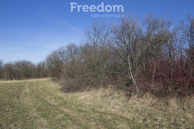 Atrakcyjna działka inwestycyjna 1,14 ha Krasne