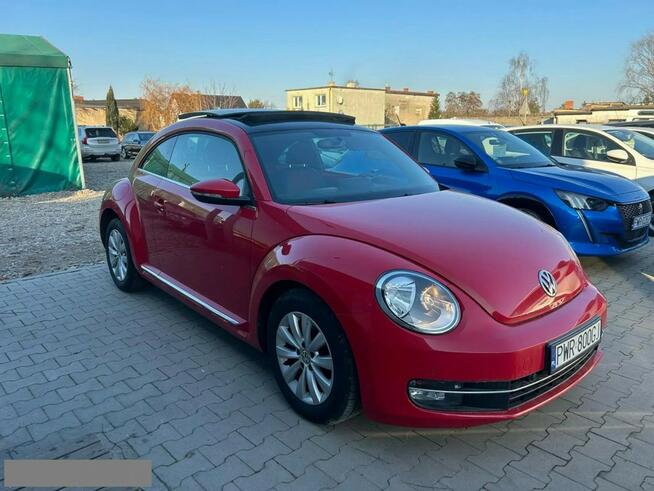 Volkswagen Beetle Benzyna Panorama