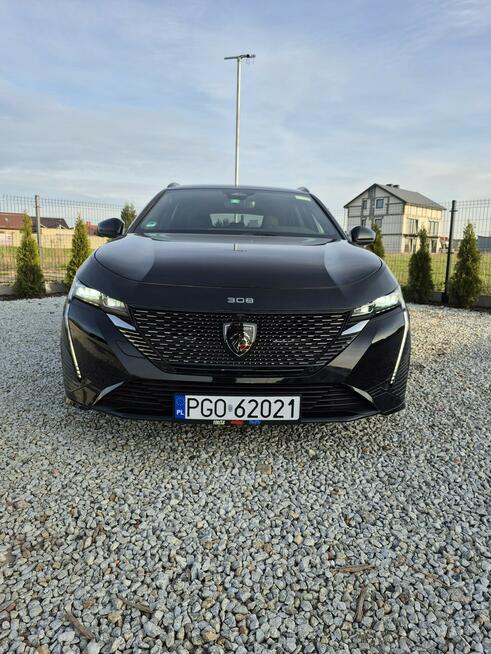 Peugeot 308 GT "RATY"