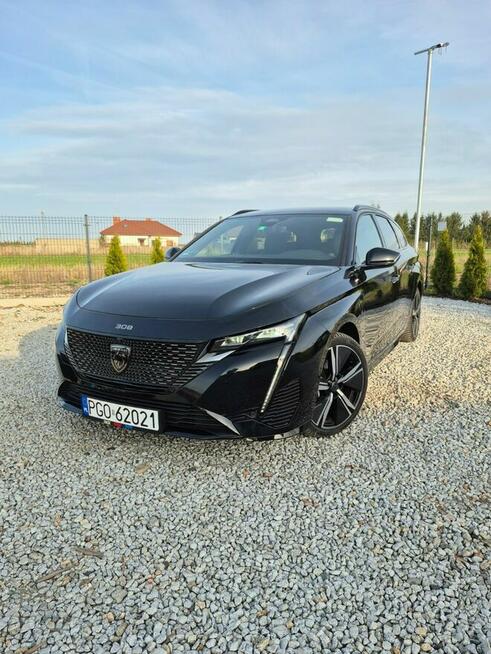 Peugeot 308 GT "RATY"