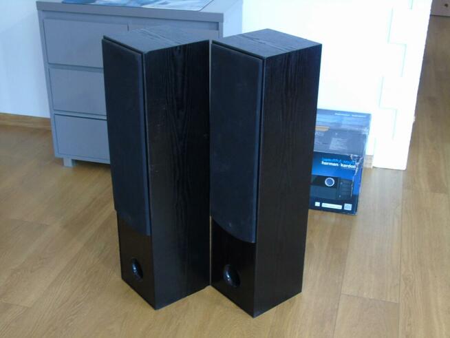 Mocne kolumny Cat 2 x 400 wat. DOSTAWA.