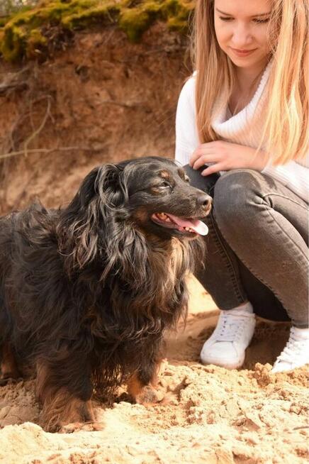 Cygan-niewielki kudłaty piesek do adopcji