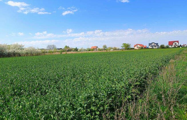 Działki Pniówek, 2,5 km od Zamościa