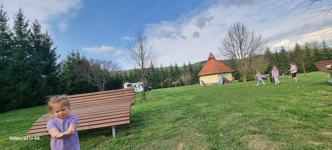 Pole namiotowe Grzybek