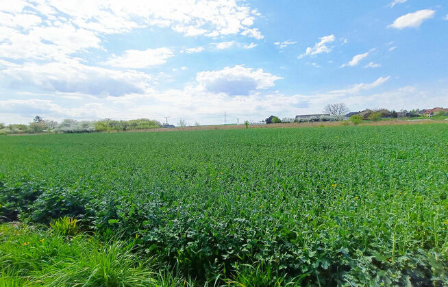 Działki Pniówek, 2,5 km od Zamościa