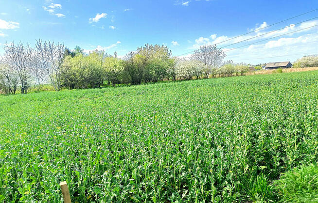 Działki Pniówek, 2,5 km od Zamościa