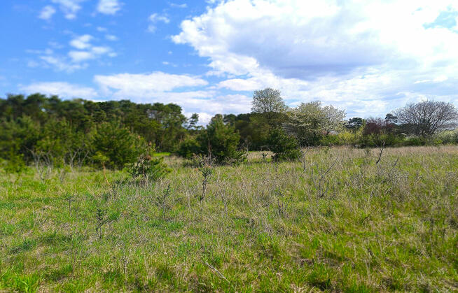 Działki Pniówek, 2,5 km od Zamościa