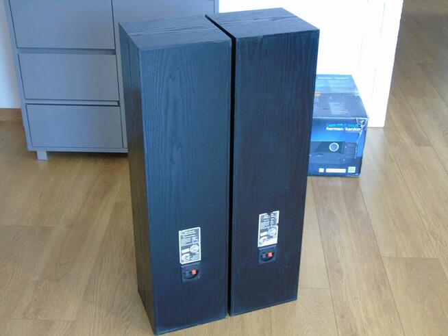 Mocne kolumny Cat 2 x 400 wat. DOSTAWA.