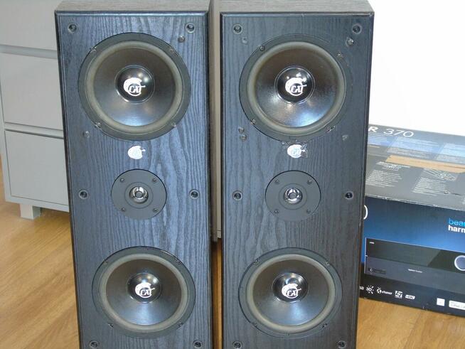 Mocne kolumny Cat 2 x 400 wat. DOSTAWA.