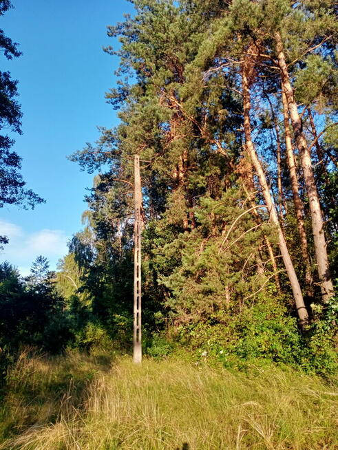Las 78 arów