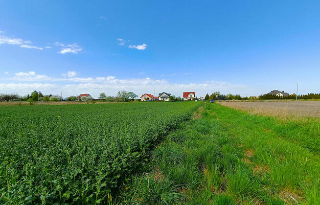 Działki Pniówek, 2,5 km od Zamościa