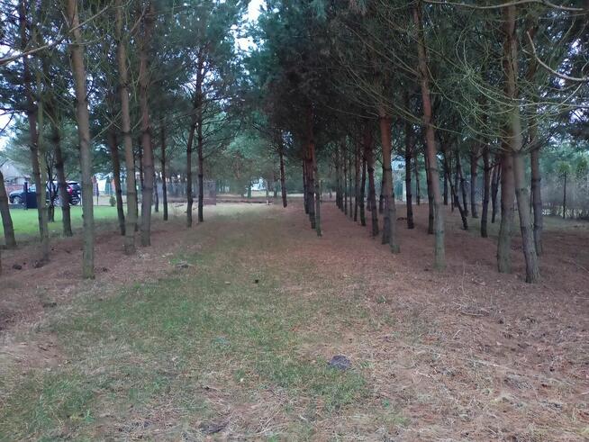 Działka nad jeziorem z linią brzegową, pomostem