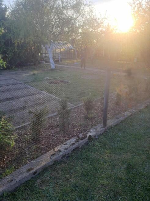 Sprzedam działke Rod