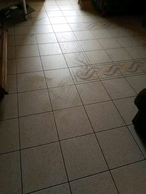 Oferuję generalne sprzątanie ròwnież po wyprowadzce..