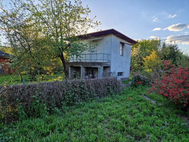 Dwie działki ROD razem (obok siebie) z domem murowanym