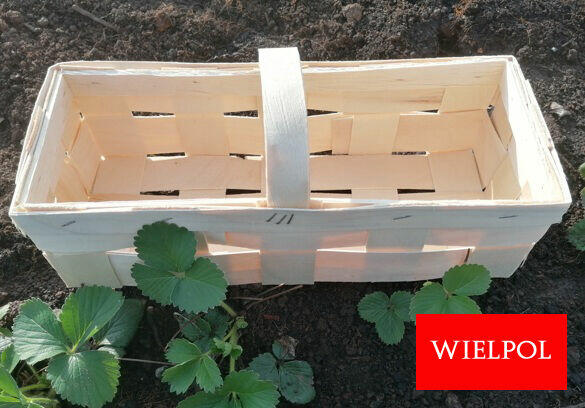 Sprzedaż łubianek drewnianych / koszyków do truskawek