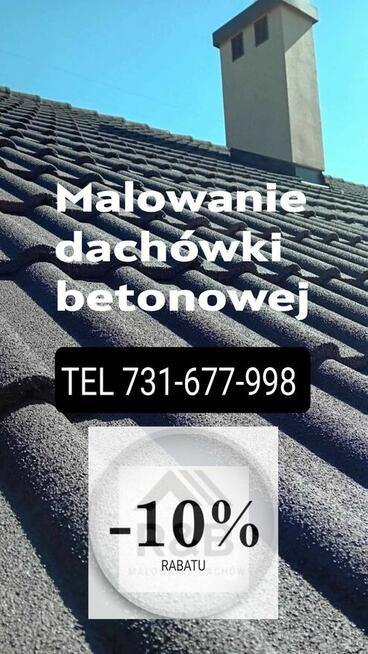 Malowanie dachów I elewacji