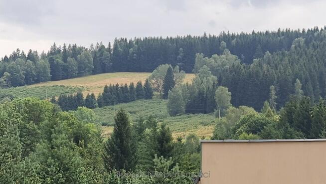 Do wynajęcia pensjonat w Nowy Gierałtów