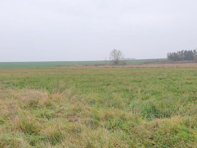 Działka budowlana Wągrodno gm. Ruja,