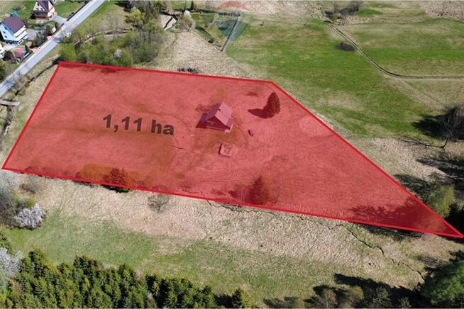 Klimatyczny drewniany dom z ogromnym terenem