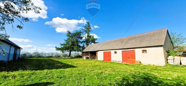 Na sprzedaż gospodarstwo sadownicze