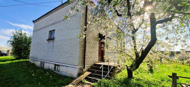 Na sprzedaż gospodarstwo sadownicze