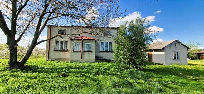 Na sprzedaż gospodarstwo sadownicze