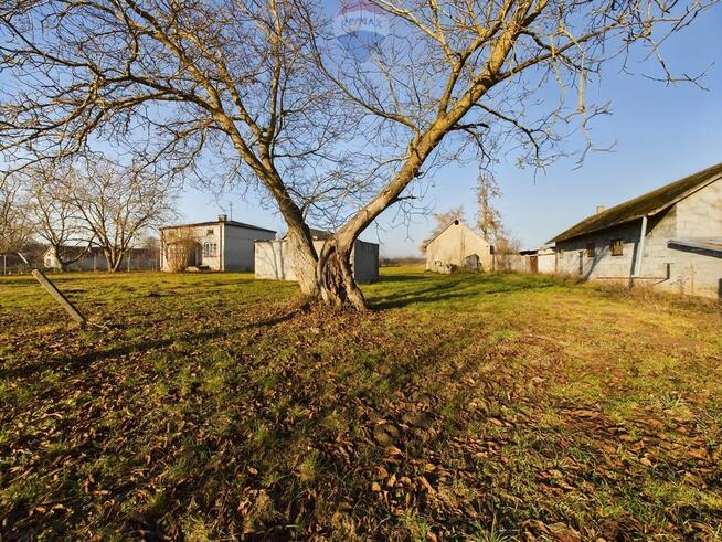 Na sprzedaż gospodarstwo sadownicze