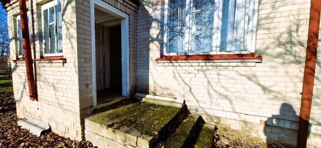 Na sprzedaż gospodarstwo sadownicze