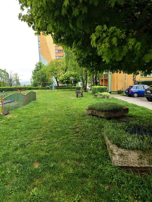 Trzypokojowe mieszkanie z widokiem - podzamcze