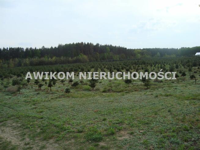 Działka Grzegorzewice gm. Żabia Wola