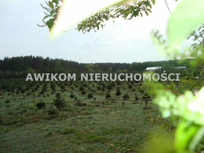 Działka Grzegorzewice gm. Żabia Wola