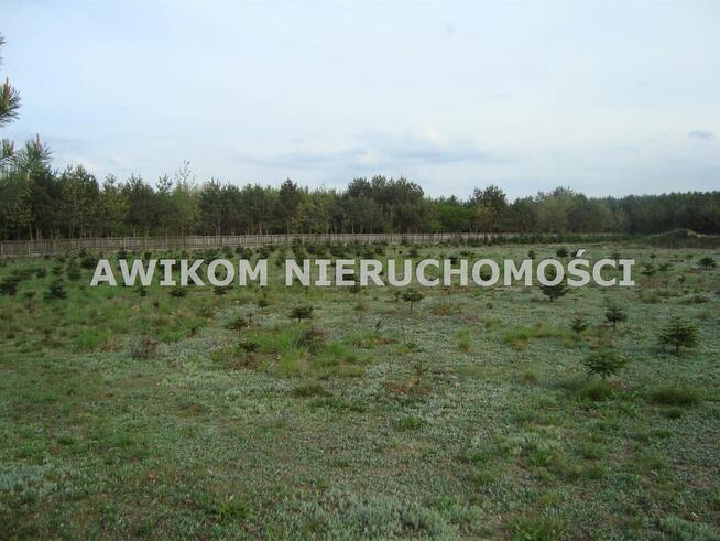 Działka Grzegorzewice gm. Żabia Wola