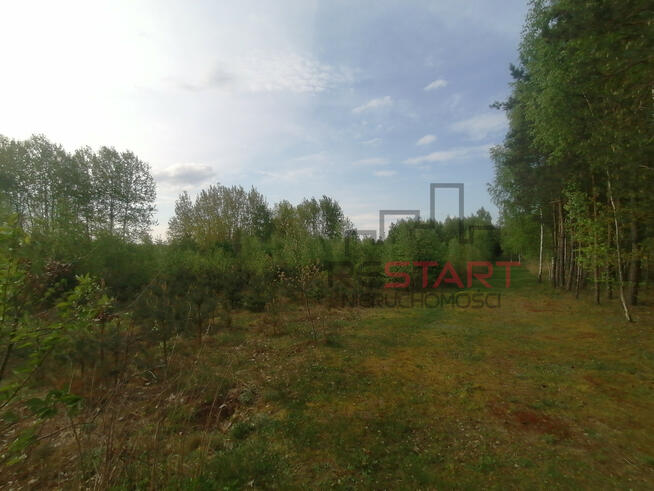 Działka rolna Korabiewice gm. Puszcza Mariańska,