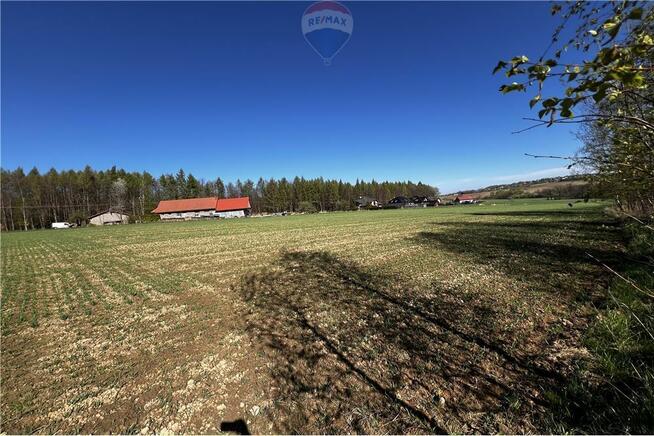 BLACK WEEKS -Działka rolna w Pogórzu z potencjałem