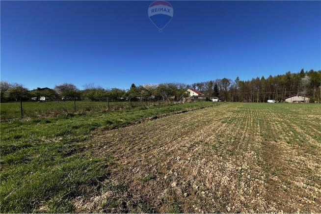 BLACK WEEKS -Działka rolna w Pogórzu z potencjałem