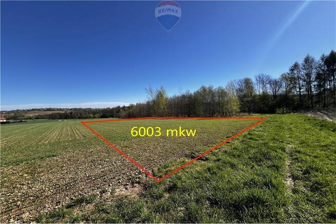 BLACK WEEKS -Działka rolna w Pogórzu z potencjałem