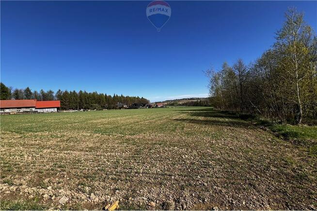 BLACK WEEKS -Działka rolna w Pogórzu z potencjałem