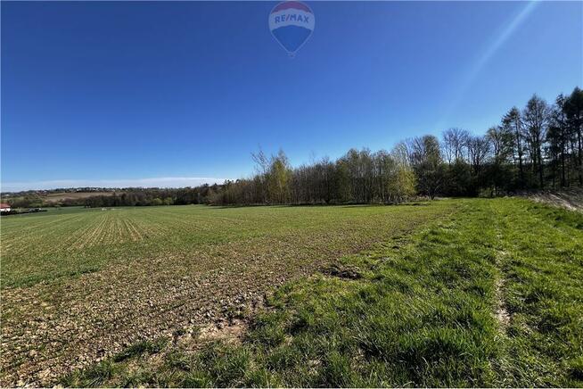 BLACK WEEKS -Działka rolna w Pogórzu z potencjałem