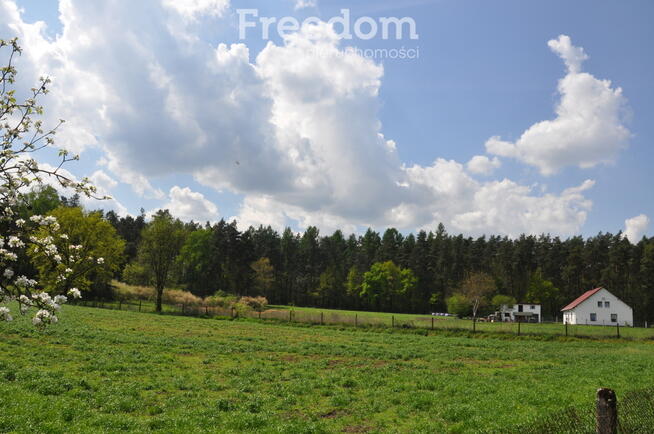 Dom w cenie działki