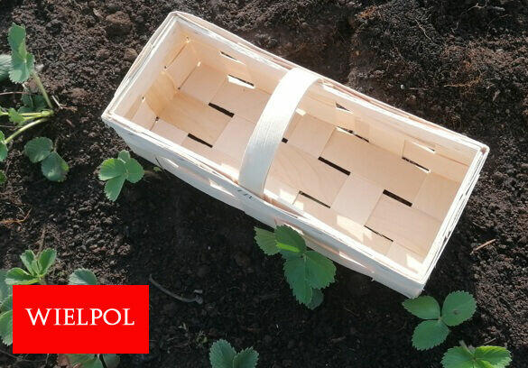 Sprzedaż łubianek drewnianych / koszyków do truskawek