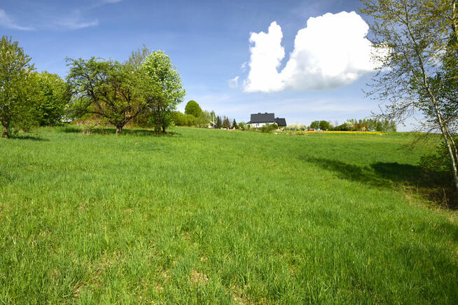 Sprzedam dom w górach, z dużą widokową działką.