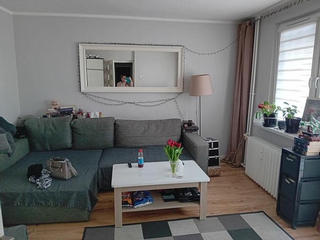 Wynajme mieszkanie 2 pokojowe Koszalin Centrum