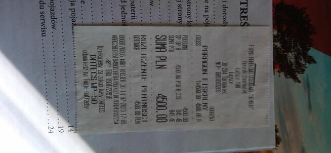 MODEL CROSS ELEKTRYCZNY LIYA 1100W ;