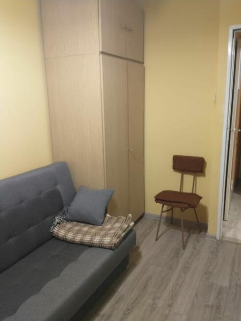 Pokój do wynajęcia, zadbany