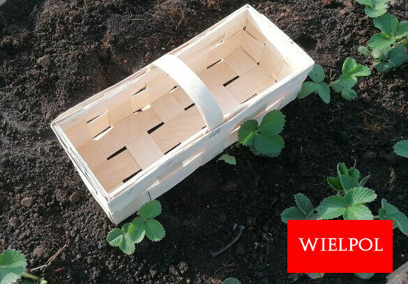 Sprzedaż łubianek drewnianych / koszyków do truskawek